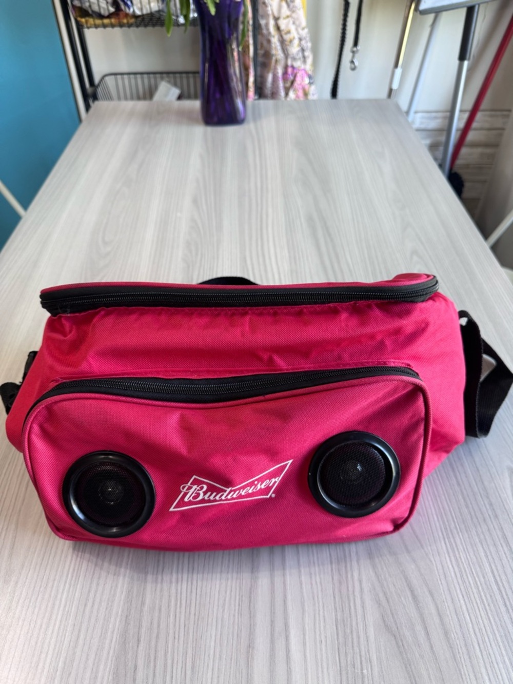Budweiser BWSCB001 Bluetooth Speaker Cooler Bag
